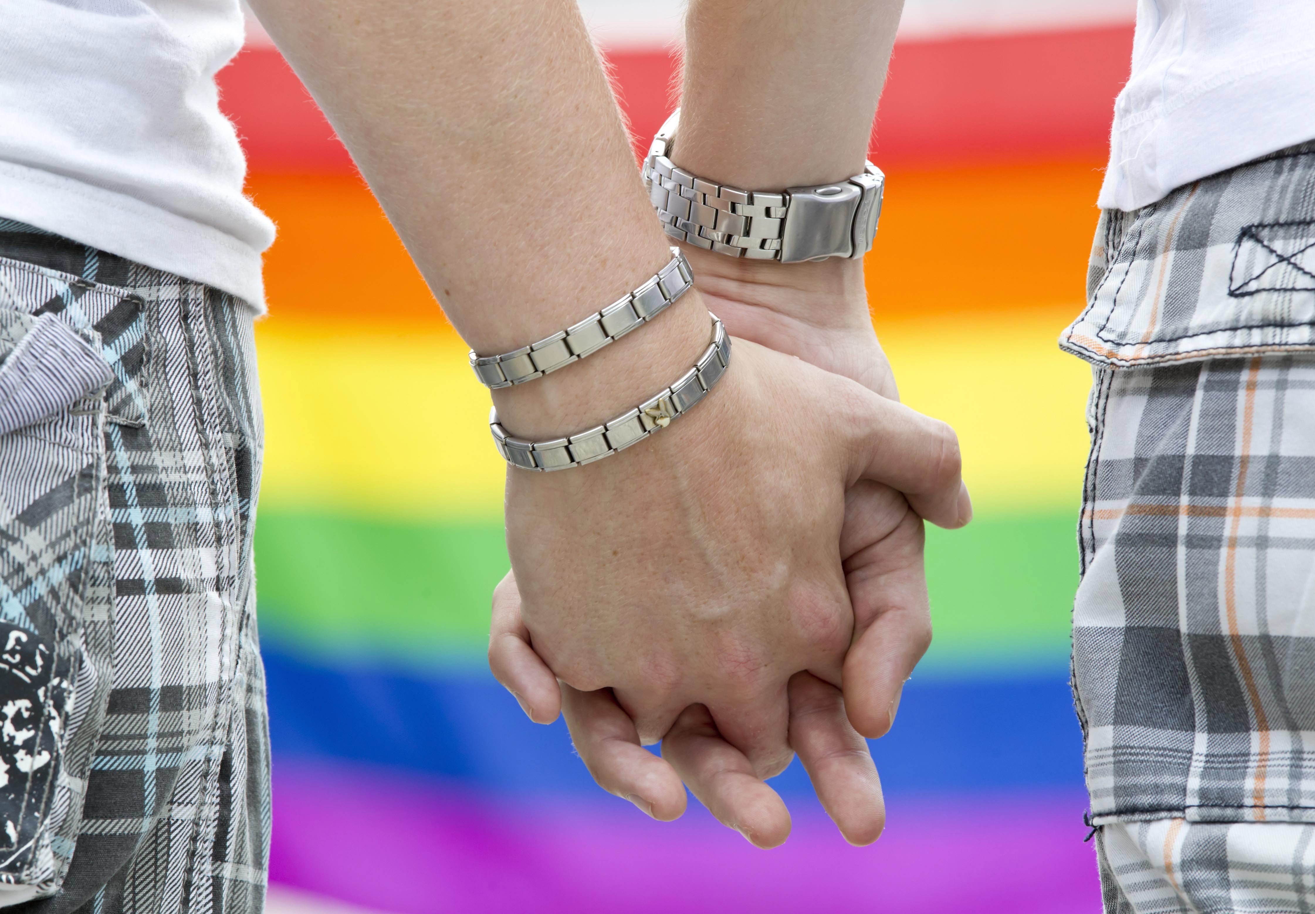 Υιοθεσία και σύμφωνο συμβίωσης ομοφυλόφιλων στην Επιτροπή Βιοηθικής
